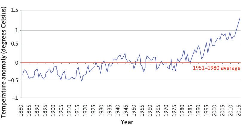 Northern hemisphere temperatures (1880–2016).
