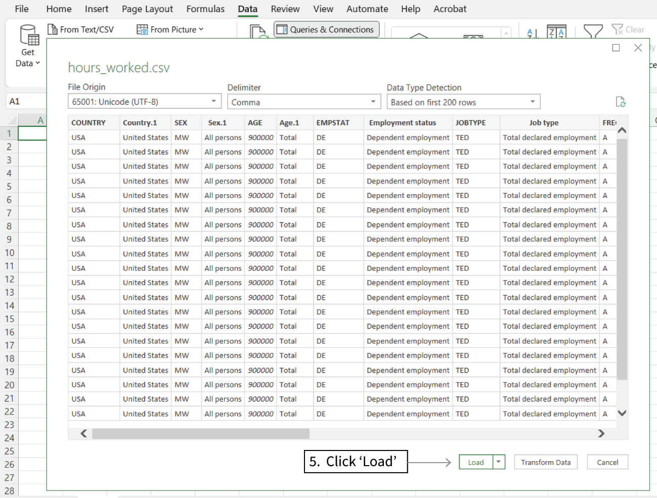 Preview and load the data
: A preview of the file will appear in the window, so you can check that the data is organized correctly. Click the ‘Load’ button to import it into Excel.
