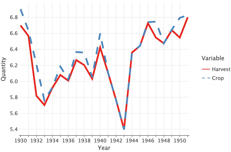 Line chart showing the harvest and crop for watermelons.
