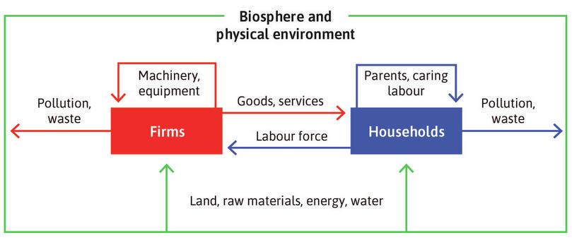 The economy of households and firms depends on a healthy biosphere and stable physical environment.
