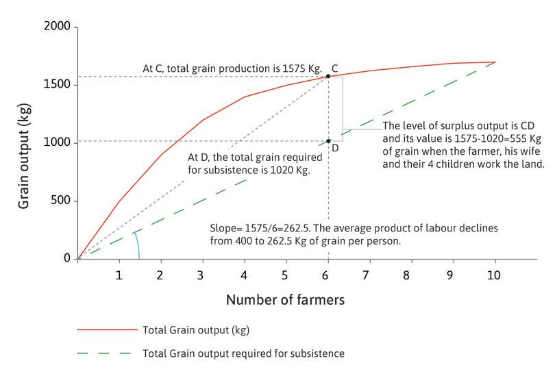 The average product diminishes
: The total output corresponds to point C and total subsistence output corresponds to point D when six farmers work the land. The average productivity of labour declines to 262 kg.
