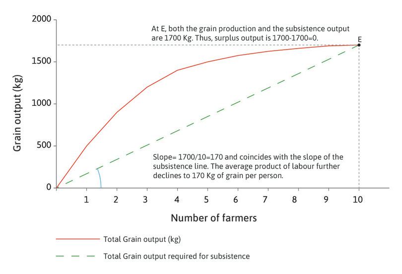 The farmers’ production function and the subsistence output

