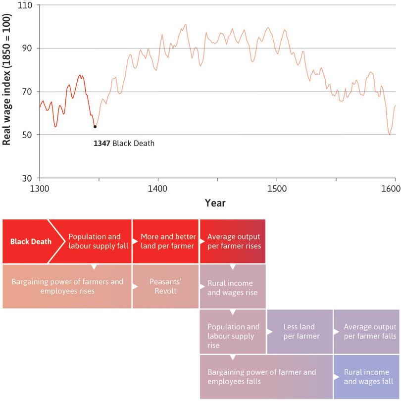 Wages rose following the plague
: This decline in the population had an economic benefit for the farmers and workers who survived: it meant that farmers had more and better land, and workers could demand higher wages. Incomes rose as the plague abated.
