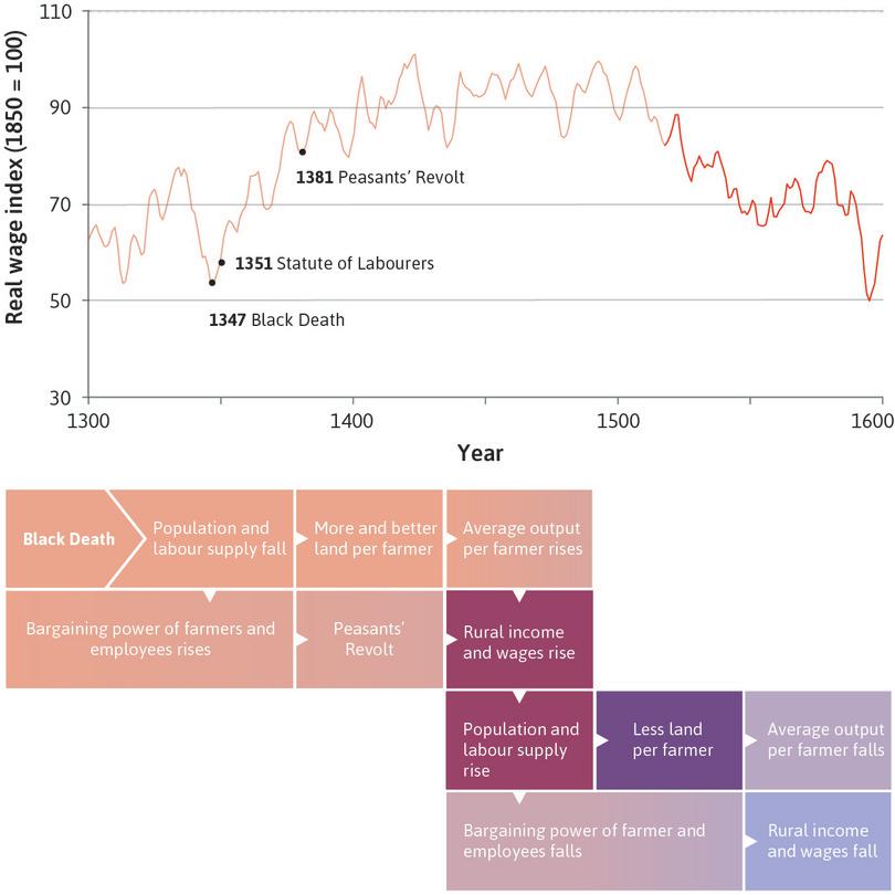 Population increased in the sixteenth century
: By the middle of the fifteenth century, the real wages of English building workers had doubled. Increased wages helped the population to recover in the sixteenth century, but Malthus’ law asserted itself: as the population increased, incomes fell.
