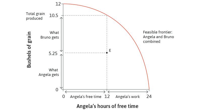The distribution at point E
: At point E, Angela works for 12 hours and produces 10.5 bushels of grain. The distribution of grain is such that 5.25 bushels go to Bruno and Angela retains the other 5.25 bushels for her own consumption.
