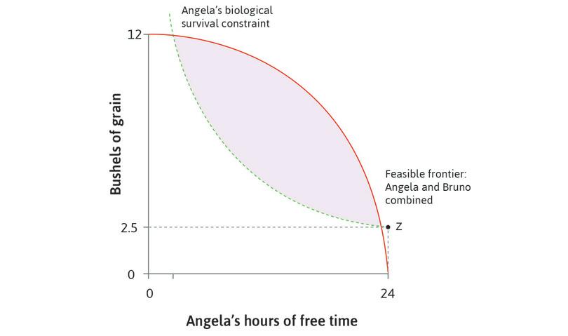 The biological survival constraint
: If Angela does not work at all, she needs 2.5 bushels to survive (point Z). If she gives up some free time and expends energy working, she needs more food, so the curve is higher when she has less free time. This is the biological survival constraint.
