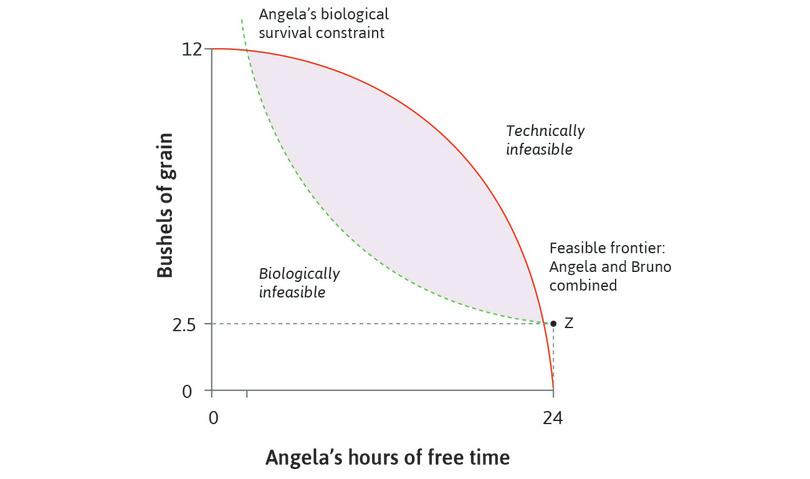 Biologically infeasible and technically infeasible points
: Points below the biological survival constraint are biologically infeasible, while points above the feasible frontier are technically infeasible.
