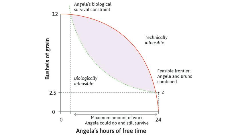 Angela’s maximum working day
: Given the feasible frontier, there is a maximum amount of work above which Angela could not survive, even if she could consume everything she produced.
