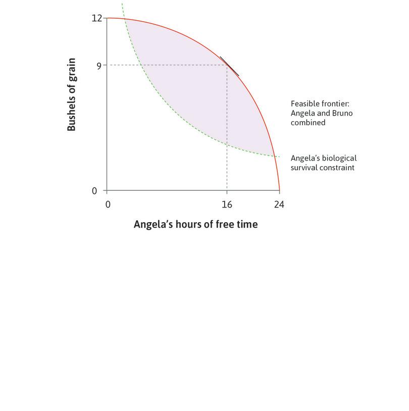 Bruno can command Angela to work
: Bruno can choose any allocation in the technically feasible set. He considers letting Angela continue working 8 hours a day, producing 9 bushels.
