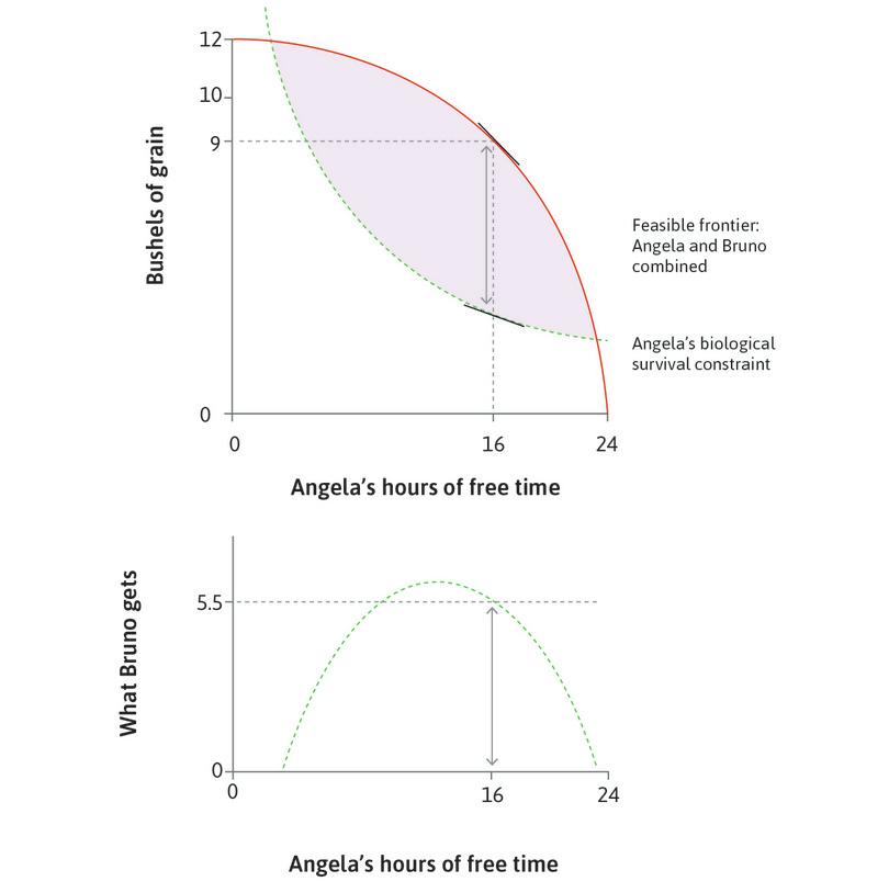 When Angela works for 8 hours
: Bruno could take 5.5 bushels without jeopardizing his future benefit from Angela’s labour. This is shown by the vertical distance between the feasible frontier and the survival constraint.
