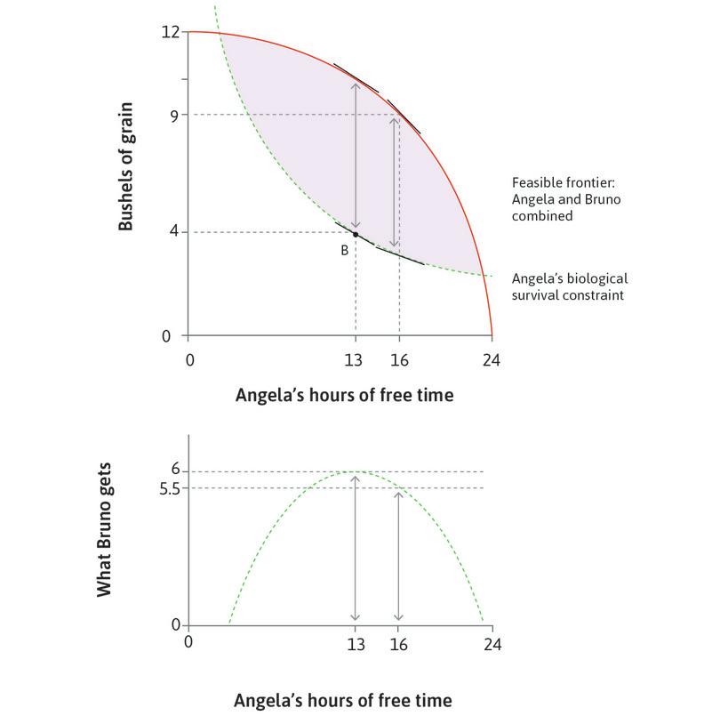 The maximum distance between frontiers
: The vertical distance between the feasible frontier and the biological survival constraint is greatest when Angela works for 11 hours (13 hours of free time).
