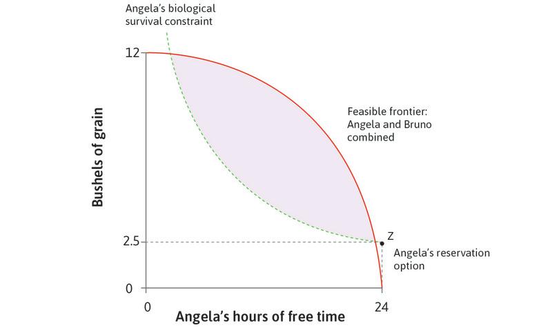 Angela’s reservation option
: Point Z, the allocation in which Angela does not work and gets only survival rations from the government, is called her reservation option.
