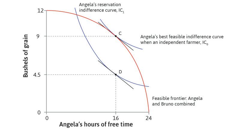 The allocation at D
: When Bruno owned the land and made a take-it-or-leave-it offer, he chose a contract in which the land rent was CD (4.5 bushels). Angela accepted and worked 8 hours. The allocation was at D, and once again, MRT = MRS. The surplus was still CD, but Bruno got it all.
