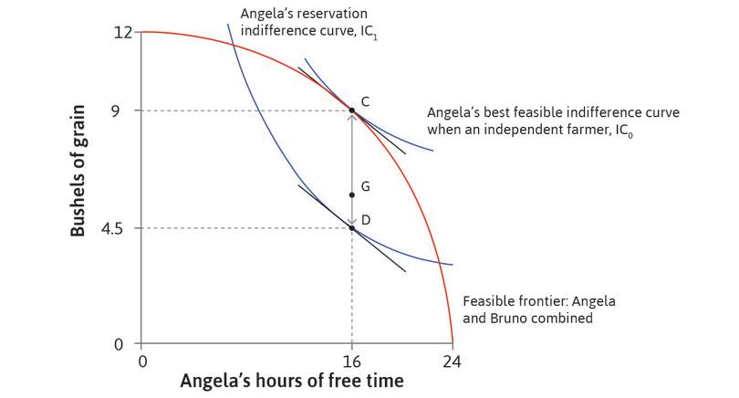 Angela’s preferences
: Remember that Angela’s MRS doesn’t change as she consumes more grain. At any point along the line CD, such as G, there is an indifference curve with the same slope. So MRS = MRT at all of these points.
