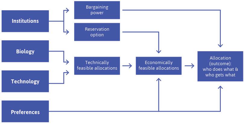 The fundamental determinants of economic outcomes.
