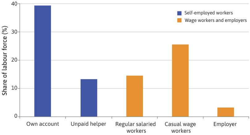 Types of workers and their share in the workforce: India
: Types of workers and their share in the workforce: India
