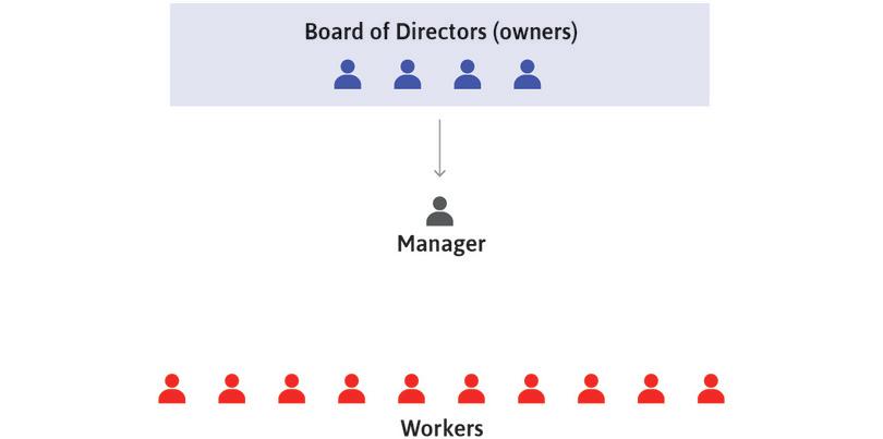 Owners decide long-term strategies
: The owners, through their board of directors, decide the long-term strategies of the firm concerning how, what, and where to produce. They then direct the manager(s) to implement these decisions.
