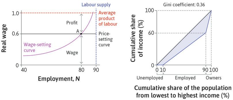 The distribution of income at labour market equilibrium.
