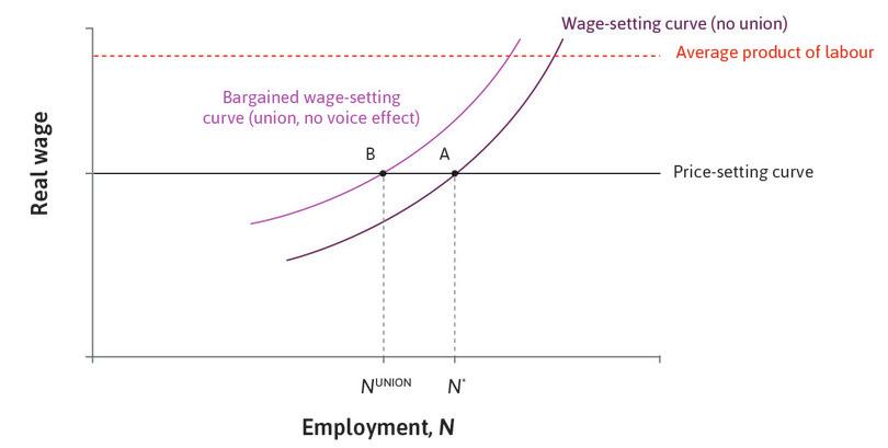The bargained wage-setting curve when there is no union voice effect.
