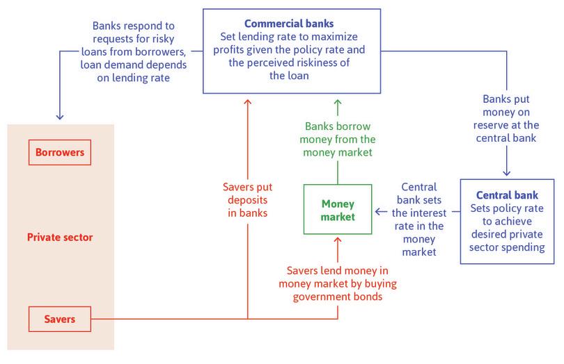 Banks, the central bank, borrowers, and savers.
