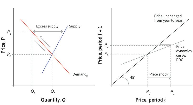 The price adjusts
: The PDC shows that if the price this period is P1, then it will be P2 next period.
