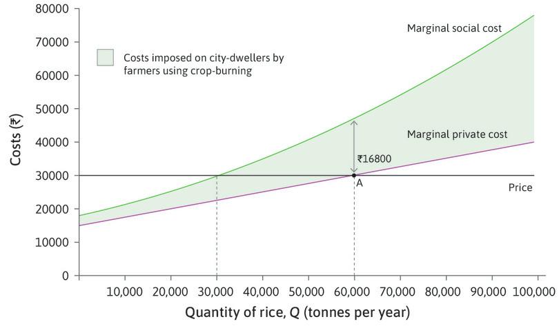 The farmers’ choice of rice output.
