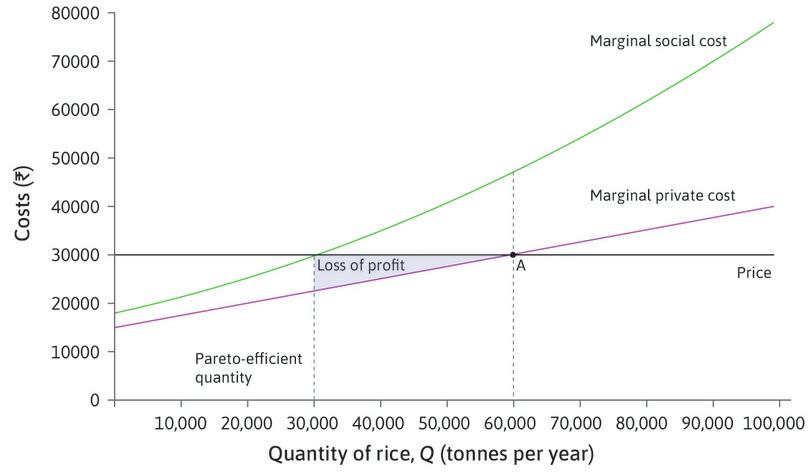 Lost profit
: Reducing output from 60,000 to 30,000 tonnes reduces the profits of farmers. The lost profit is equal to the loss of producer surplus, shown by the blue area.
