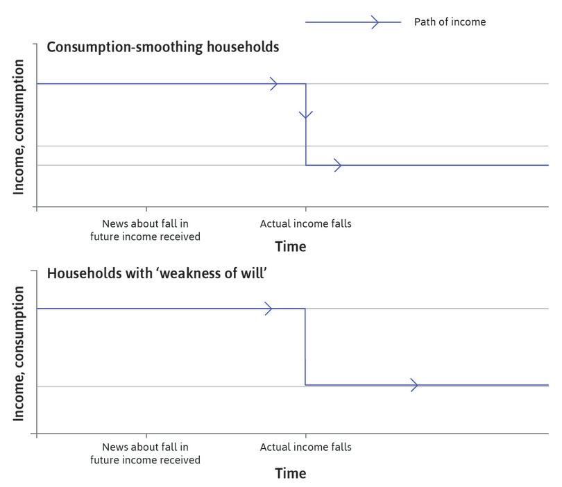 The path of income
: The blue lines in the figure show that income follows the same path in both sets of households.
