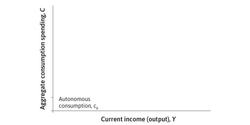 Autonomous consumption
: This is the fixed amount that households will spend that does not depend on their current level of income.

