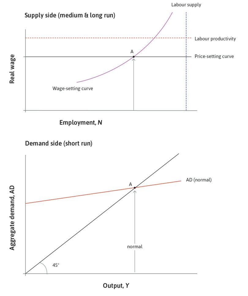 Labour market equilibrium
: The economy is initially at labour market equilibrium at point A with unemployment of 5%. The level of aggregate demand must be as shown by the aggregate demand curve labelled ‘normal’.
