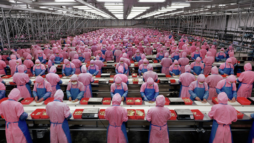 Deda Chicken Processing Plant, Dehui City, Jilin Province, China, 2005