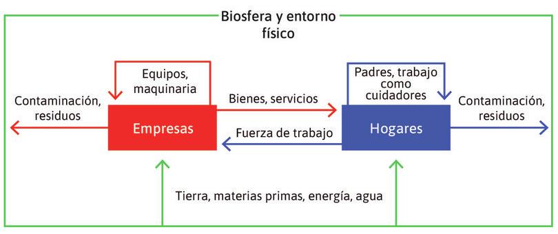Un modelo de la economía: hogares y empresas.
