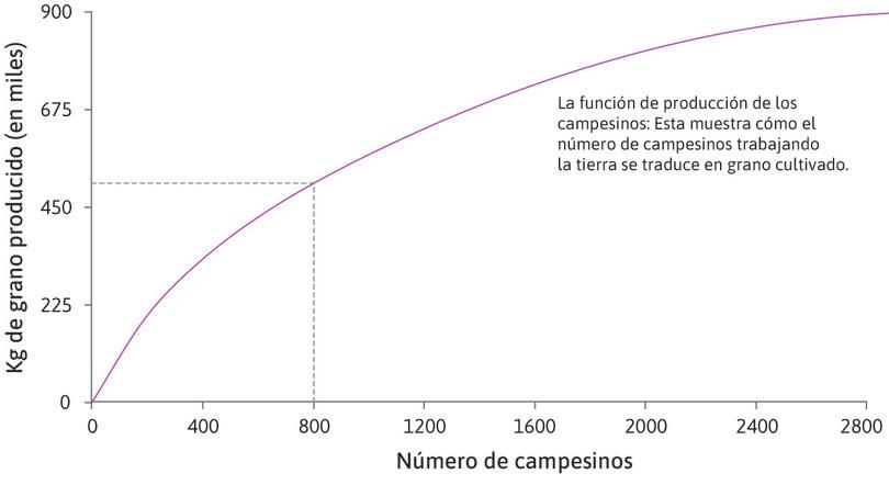 La función de producción de un agricultor
: La función de producción muestra cómo el número de agricultores que trabajan la tierra se traduce en grano producido al final de la estación de cultivo.
