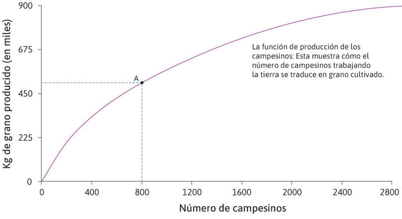 Producto cuando hay 800 agricultores
: El punto A de la función de producción muestra el producto o cantidad de grano producido por 800 agricultores.
