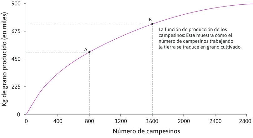 Producto cuando hay 1600 agricultores
: El punto B de la función muestra la cantidad de grano producida por 1600 agricultores.
