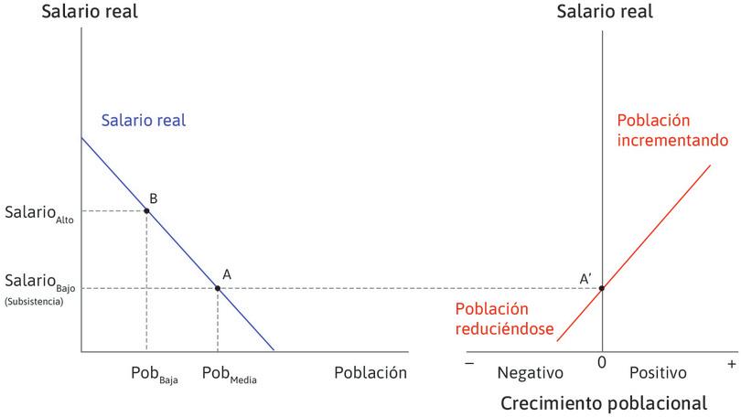 Conexión entre los dos diagramas
: En el punto A, a la izquierda, la población es de tamaño medio y el salario está en su nivel de subsistencia. Ahora vayamos al diagrama del otro lado, al punto A′, a la derecha, que muestra el punto en que el crecimiento de la población es igual a cero. Así, si la economía está en el punto A, se encuentra en equilibrio: la población permanece constante y los salarios permanecen en su nivel de subsistencia.
