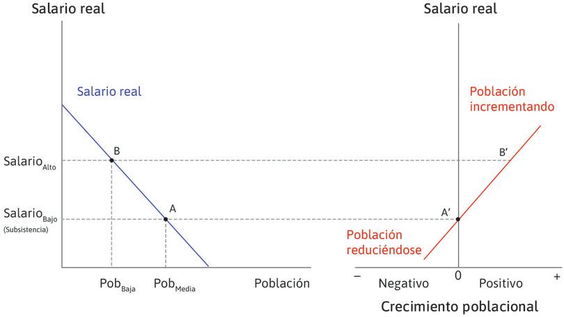 Una población menor
: Suponga que la economía está en B, con un salario superior y una población menor. El punto B′, a la derecha, muestra que la población crece.
