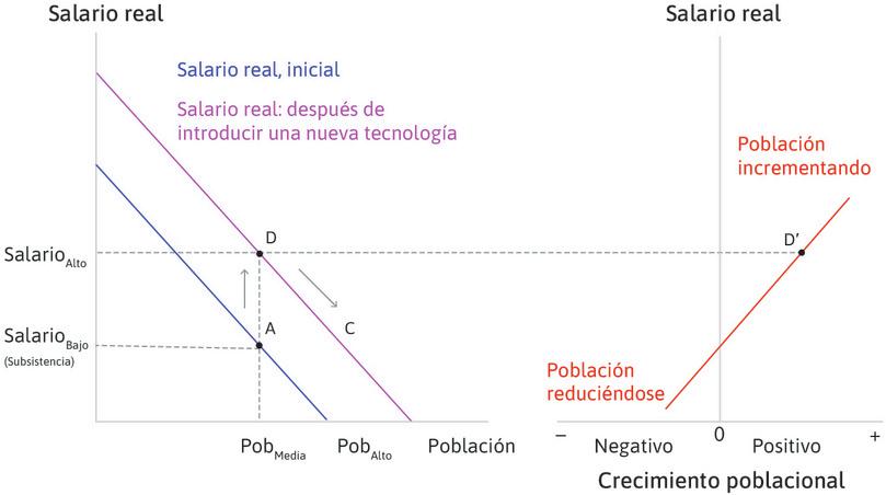Aumenta la población
: A medida que la población aumenta, el salario cae por causa de la productividad marginal decreciente del trabajo. La economía desciende por la curva de salario real desde D.
