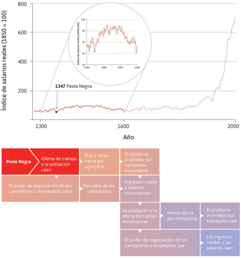 La Peste Negra (1348–1350)
: La plaga bubónica de 1348–1350, también conocida como la Peste Negra, mató a 1,5 millones de personas de una población estimada de 4 millones, provocando una caída dramática de la oferta de trabajo.

