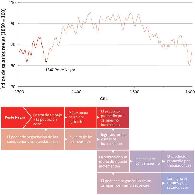 Los salarios subieron después de la peste
: Esta disminución en la población tuvo un beneficio económico para los agricultores y trabajadores que sobrevivieron: los agricultores pasaron a tener más y mejor tierra, y los trabajadores pudieron exigir salarios más altos. Los ingresos se fueron elevando a medida que la peste disminuía.
