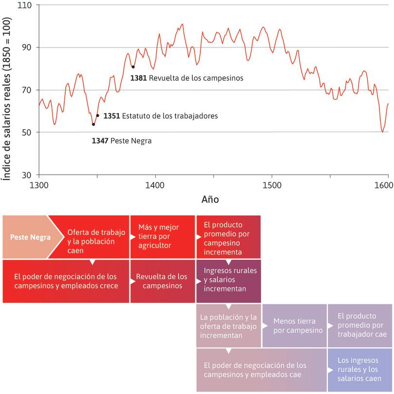 Agricultores y trabajadores hicieron uso de su poder
: En 1351, el rey Eduardo III de Inglaterra trató de limitar los aumentos salariales por medio de una ley, lo que desencadenó en un periodo de rebeliones contra la autoridad, en particular la revuelta de los campesinos de 1381. A pesar de las acciones del rey, los ingresos siguieron aumentando.
