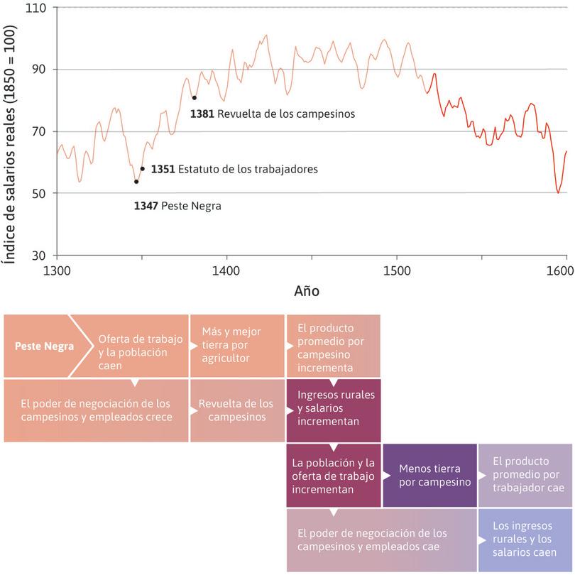 La población aumentó en el siglo XVI
: Para mediados del siglo XV, los salarios reales de los trabajadores de la construcción de Inglaterra se habían duplicado. Los salarios más altos ayudaron a la población a recuperarse en el siglo XVI, pero la ley de Malthus se impuso: a medida que la población aumentaba, los ingresos fueron cayendo.
