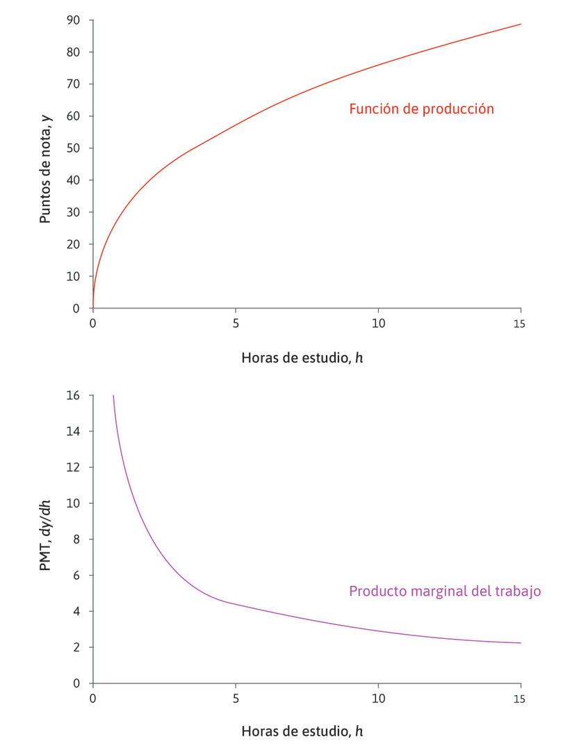 La función de producción y = 30h0,4 y el producto marginal correspondiente.
