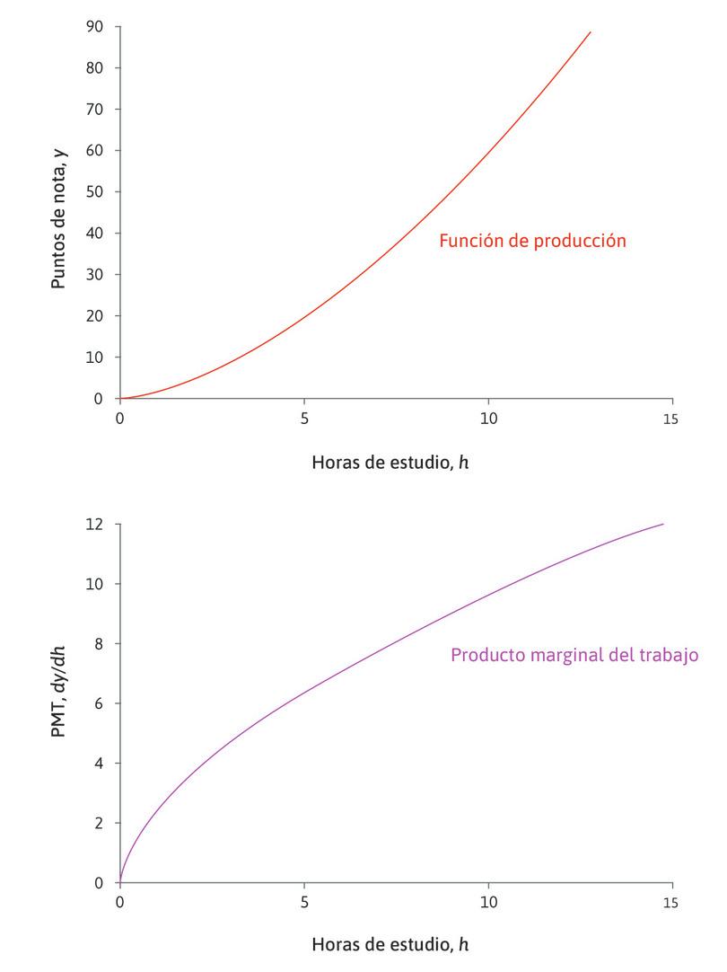 La función de producción y = 1,5h1,6 y el producto marginal correspondiente.
