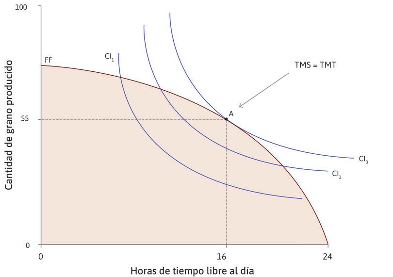 TMS = TMT para la máxima utilidad
: Su elección óptima es el punto A situado en la frontera factible, en el que disfruta de 16 horas de tiempo libre al día y consume 55 unidades de grano. En A, su TMS es igual a la TMT.
