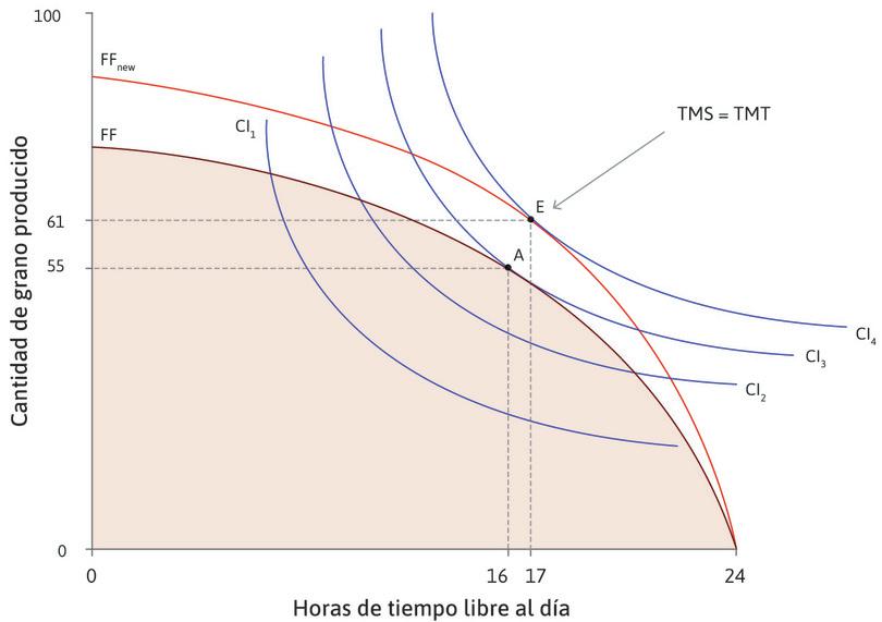 La elección de Ángela entre tiempo libre y grano
