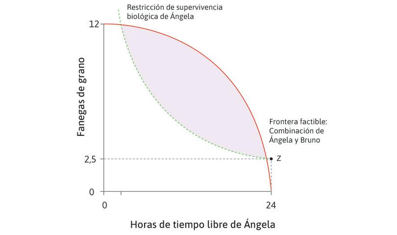 La restricción de supervivencia biológica
: Si Ángela no trabaja en absoluto, necesita 2,5 fanegas de grano para sobrevivir (punto Z). Si sacrifica algo de tiempo libre y gasta energía trabajando, necesita más comida, por lo que la curva es más alta cuando tiene menos tiempo libre. Esta es la restricción de supervivencia biológica.
