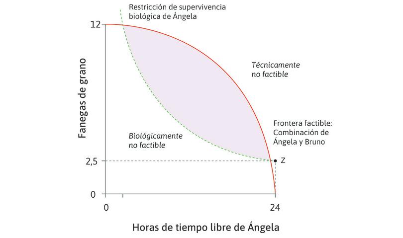 Puntos biológicamente no factibles y técnicamente no factibles
: Los puntos por debajo de la restricción de supervivencia biológica son biológicamente no factibles, mientras que los puntos por encima de la frontera factible son técnicamente no factibles.
