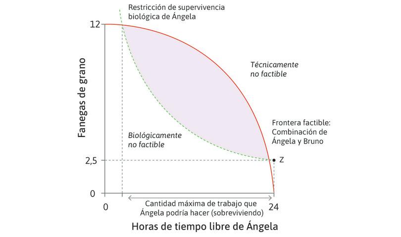 Máxima jornada laboral de Ángela
: Dada la frontera factible, hay una cantidad máxima de trabajo por encima de la cual Ángela no podría sobrevivir, incluso si pudiera consumir todo lo que produjera.
