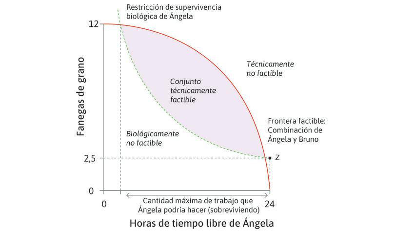 Asignaciones técnicamente factibles.
